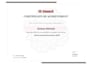do vulnerability assessment and penetration testing  report